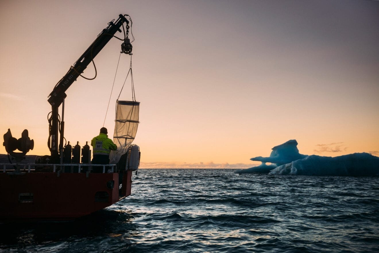 High activity at the marinelab in the dark season