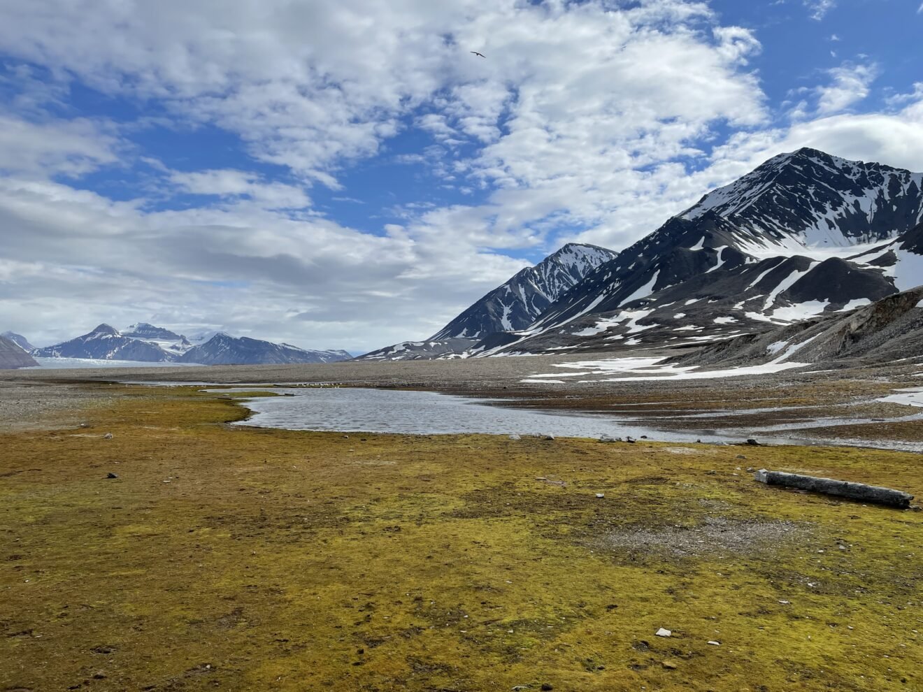 Successful workshop in The Terrestrial Flagship in Ny-Ålesund