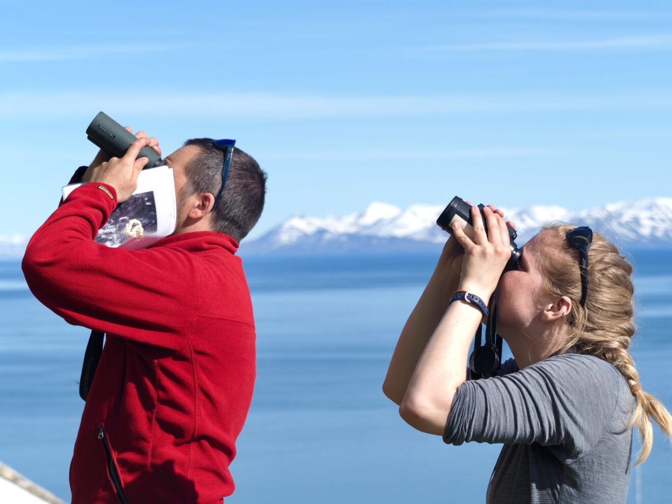 International focus on seabirds in Kongsfjorden!